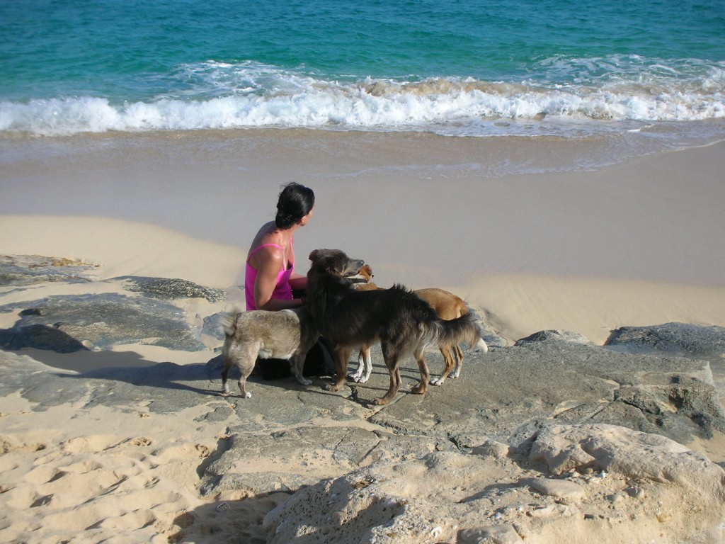 Our_Beach_Dogs