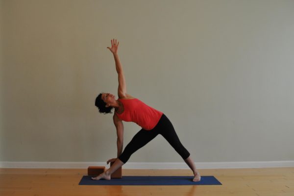 Anatomy Stories: What's the Point of using a Yoga Block? - Bare Bones Yoga