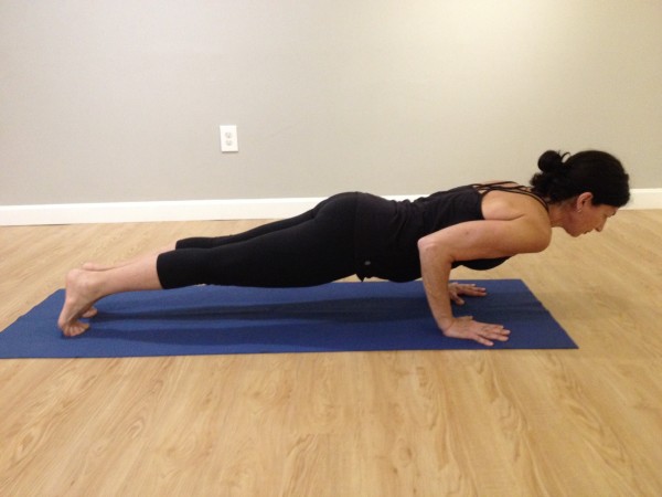 Arm Supported Yoga Poses