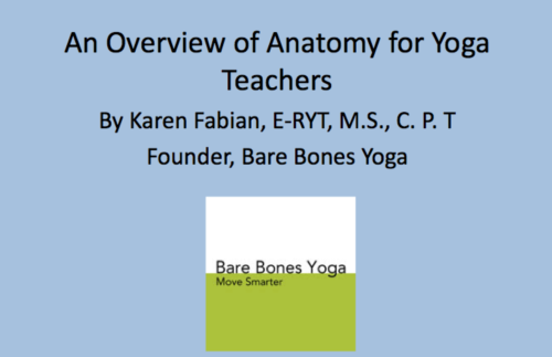An Overview of Anatomy for Yoga Teachers: Part Two