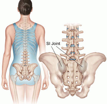 spine-and-pelvis-360x350